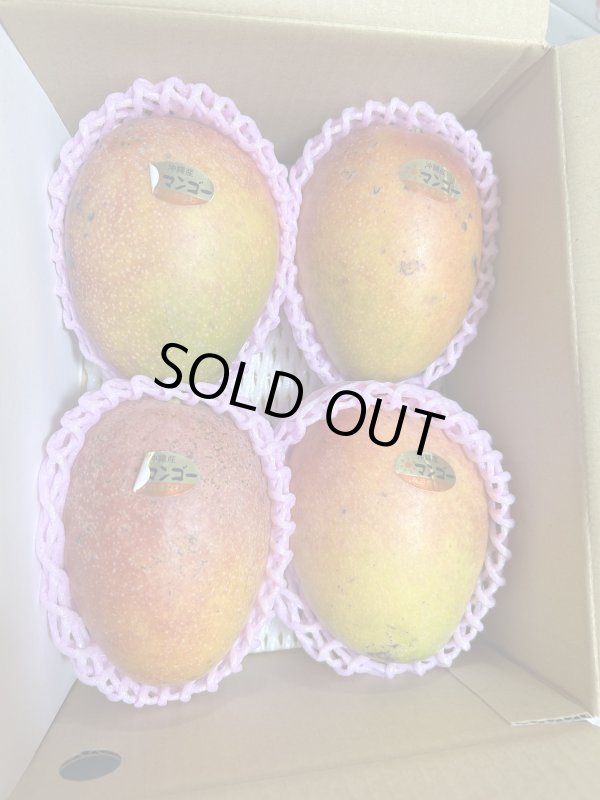 沖縄県産の新鮮な食材をお届けする通販サイト