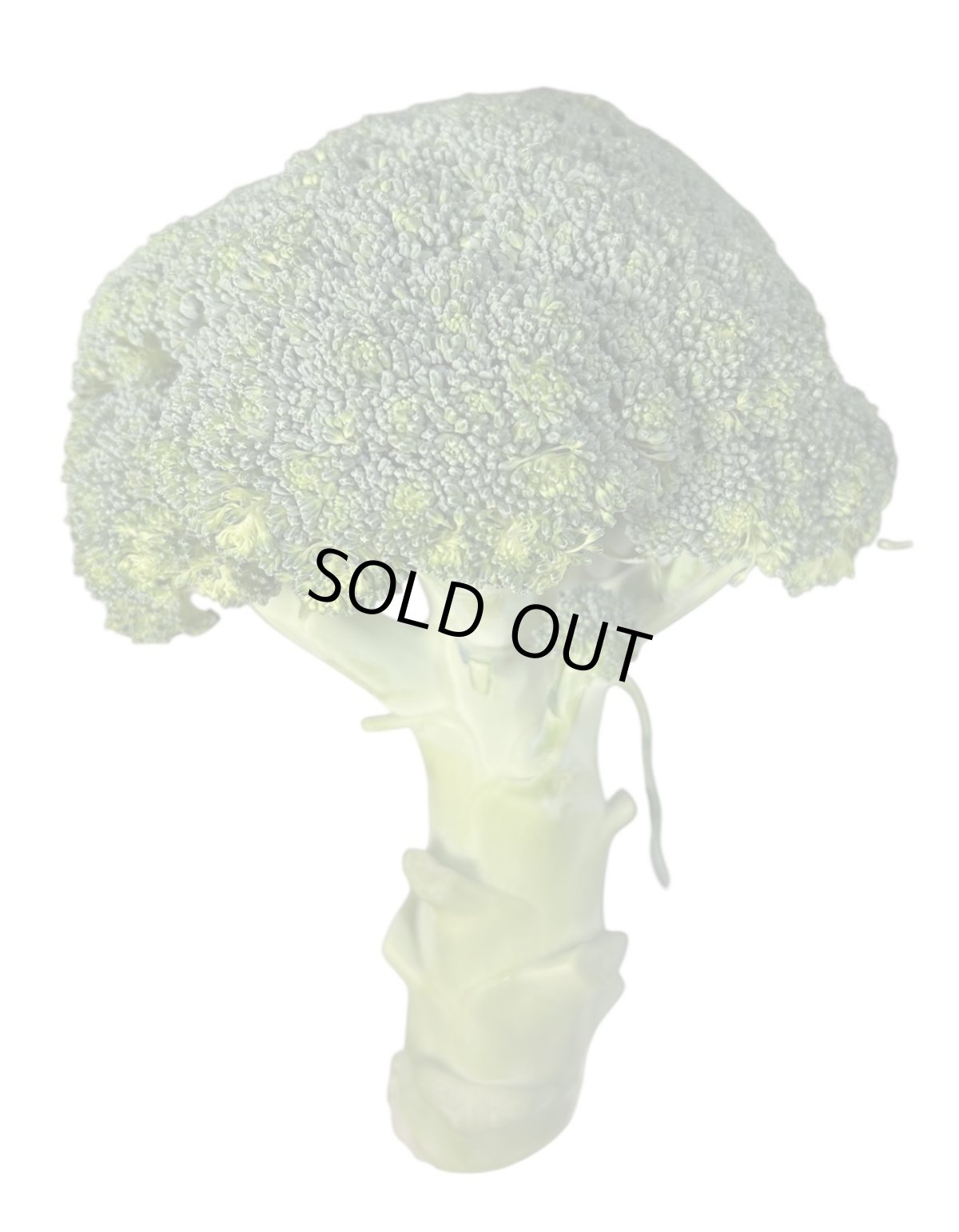 画像3: 沖縄野菜　ブロッコリー　約1kg (3)