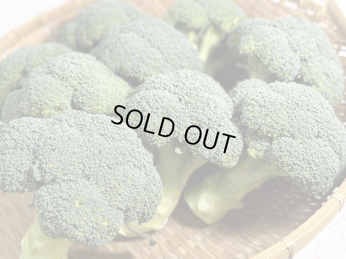 画像2: 沖縄野菜　ブロッコリー　約1kg (2)