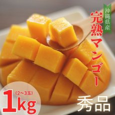 画像1: 【予約】沖縄県産アップルマンゴー　秀品　1kg（2〜3玉）贈答用　発送6月末〜8月下旬頃 (1)