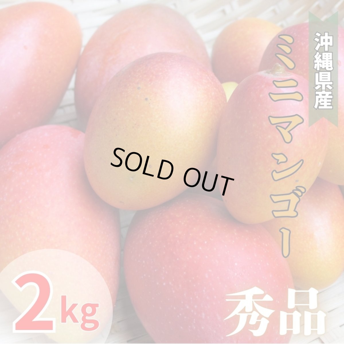 画像1: 「予約開始」沖縄県産 激旨完熟 ミニマンゴー 秀品 ２kg　発送時期6月末頃〜8月中旬 (1)