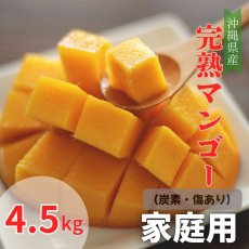 画像1: 特別価格☆たっぷり満腹 家庭用☆ 完熟アップルマンゴー4.5kg　☆９〜14玉☆　発送6月末〜8月下旬頃 (1)