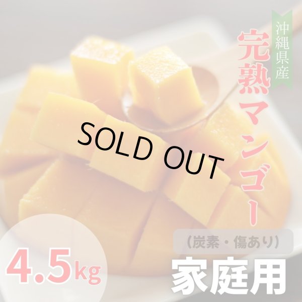 宮古島産摘果マンゴー　12キロ マンゴー 宮古島産 沖縄 約2kg 4〜5玉 送料込 産地直送 6月下旬