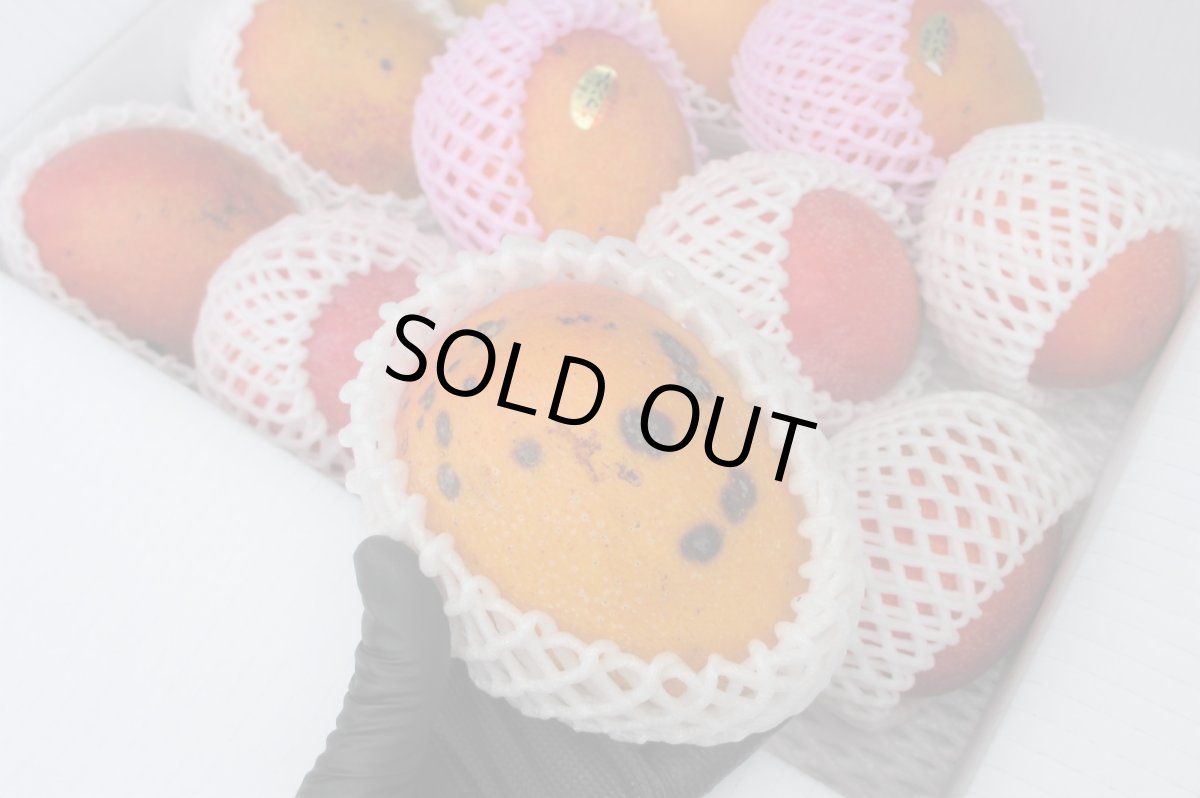 画像4: 【最終販売】沖縄県産アップルマンゴー　家庭用　２kg　炭素・傷あり　 (4)