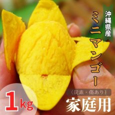 画像1: 「予約開始」沖縄県産 激旨完熟 ミニマンゴー 家庭用 1kg　炭素・傷あり　発送時期6月末頃〜8月中旬 (1)