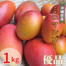 画像1: 「予約開始」沖縄県産 激旨完熟 ミニマンゴー 優品 1kg　発送時期6月末頃〜8月中旬 (1)