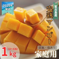 画像1: 【先行予約】宮古島産アップルマンゴー　家庭用１kg（２〜４玉）　傷・炭素あり　 (1)