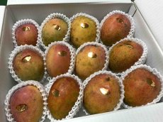 画像3: 特別価格☆たっぷり満腹 家庭用☆ 完熟アップルマンゴー4.5kg　☆９〜14玉☆　発送6月末〜8月下旬頃 (3)