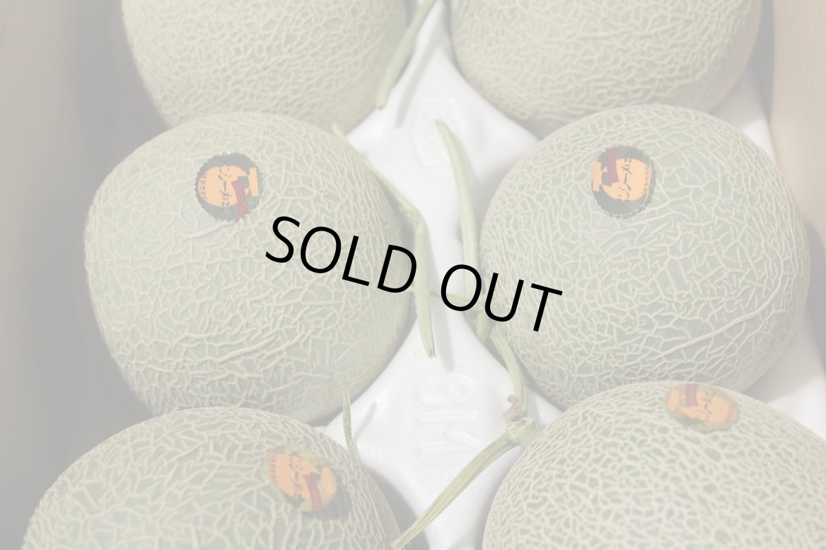 画像2: 最終入荷！【半額セール】宮古島産 クインシーメロン　1ケース　5から6玉　(＠約1.4kg〜2kg) 　赤肉メロン　 (2)