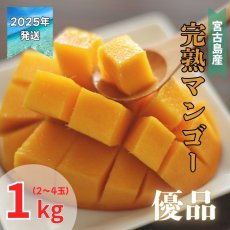 画像1: 【先行予約】宮古島産アップルマンゴー　優品　1kg（２〜４玉） (1)