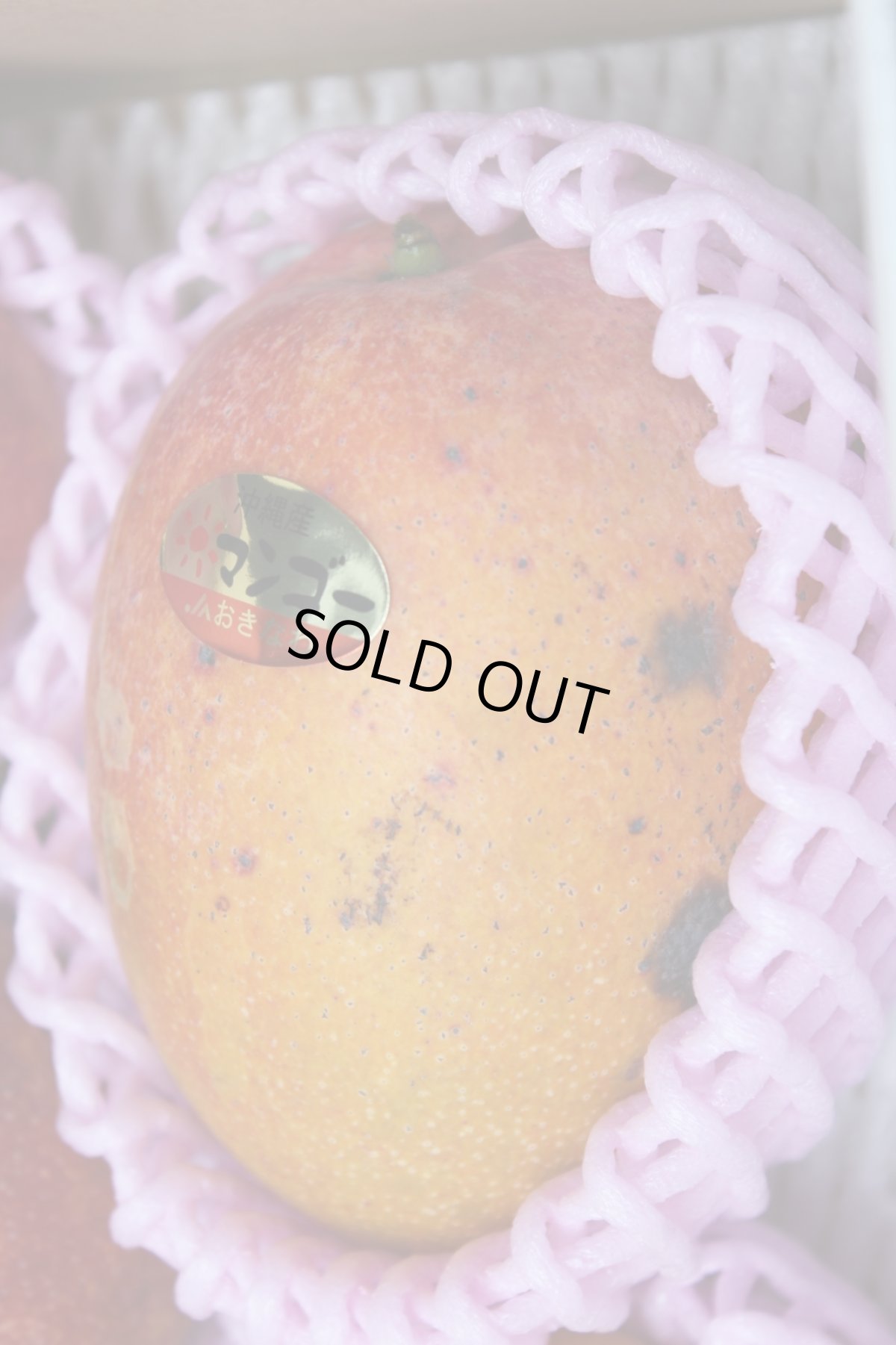 画像4: 特別価格☆たっぷり満腹 家庭用☆ 完熟アップルマンゴー4.5kg　☆９〜14玉☆　発送6月末〜8月下旬頃 (4)