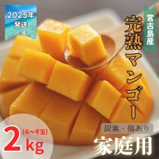 画像1: 【先行予約】宮古島産アップルマンゴー　家庭用　炭素・傷あり　2kg（4〜8玉）　 (1)