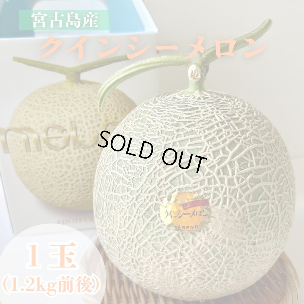 画像1: 「予約商品」宮古島産 クインシーメロン１玉　(約1.2kg〜前後) 　赤肉メロン　※5月中旬発送開始 (1)