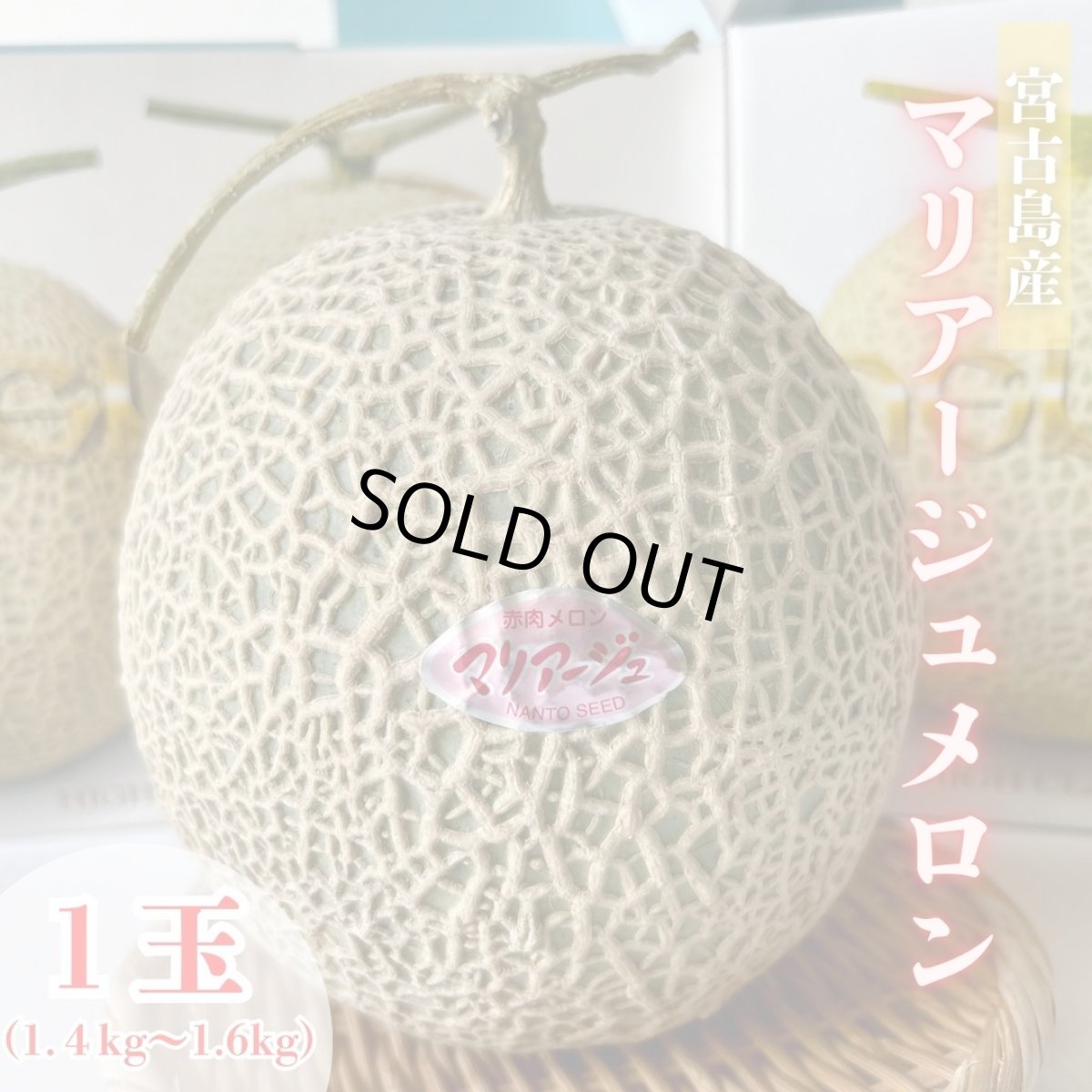 画像1: 【半額セール開催！】旬です！宮古島産 　マリアージュメロン 1玉　 約2kg　※少量再入荷の為売切れ次第終了です (1)