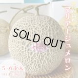 宮古島産赤肉メロン