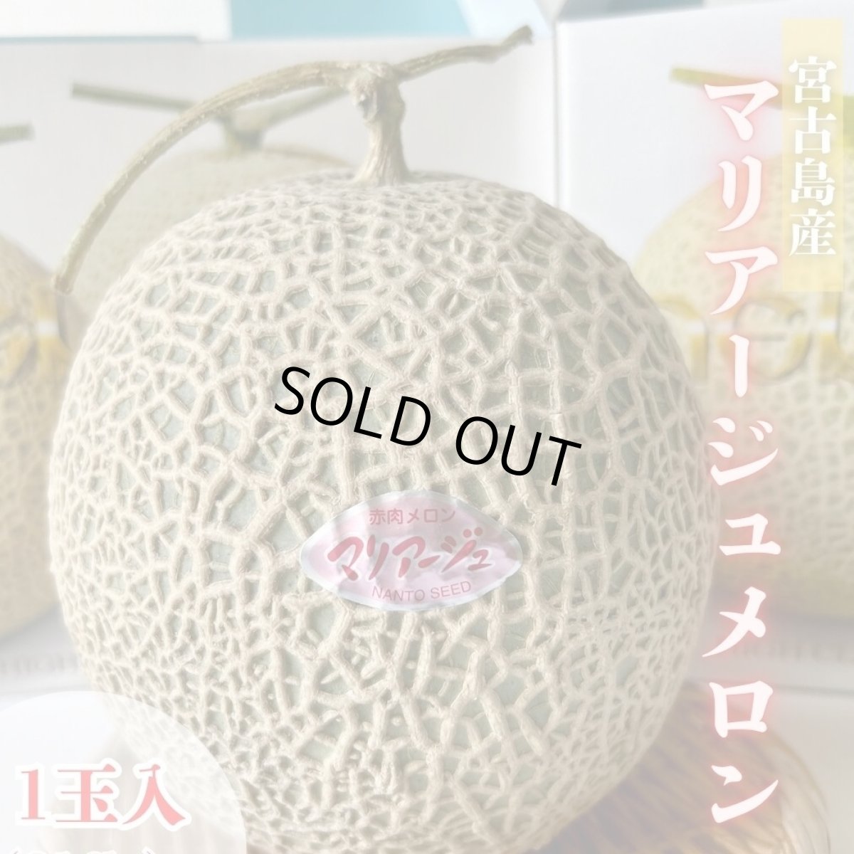 画像1: 【半額セール開催！】宮古島より！ マリアージュメロン 1玉 約 1.４〜1.8kg 前後　※少量再入荷の為早い者勝ち！ (1)