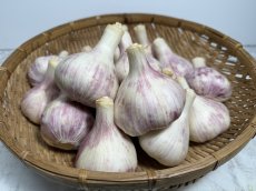 画像2: 沖縄産　島にんにく（大玉）2キロ　果肉の数が多いので黒ニンニクに最適 (2)