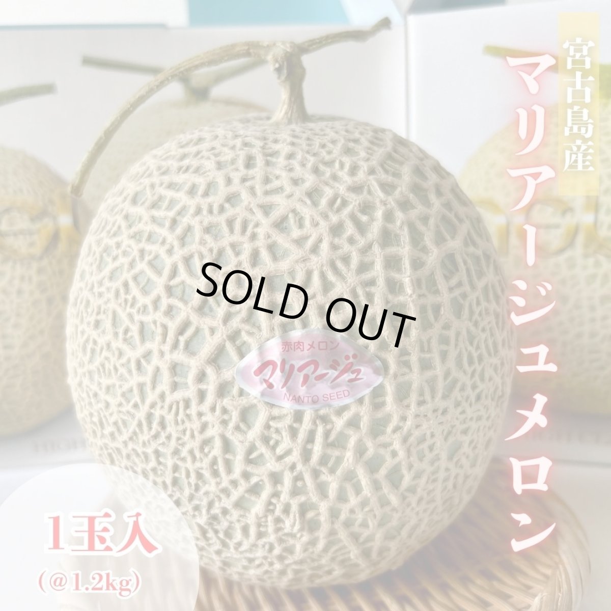 画像1: 【セール開催】宮古島産　品種おまかせ　 赤肉メロン 1玉 約1.2kg〜1.6kg (1)