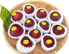 画像3: ☆秀品☆ 沖縄県産パッションフルーツ１箱(8〜1２玉) ☆発送予定4月〜６月頃 (3)
