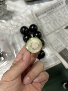 画像4: レア商品★ ジャボチカバ 約７00g　1点のみ (4)