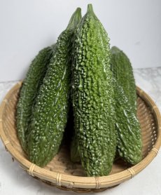画像1: 旬です！沖縄県産　ゴーヤー １kg（4本前後）　(ゴーヤーチャンプルー・スムージーにお勧め） (1)