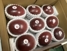 画像4: 今しかできない！期間限定　高級パッションフルーツ食べ比べ　厳選４品種　各２玉づつ　計８玉 (4)