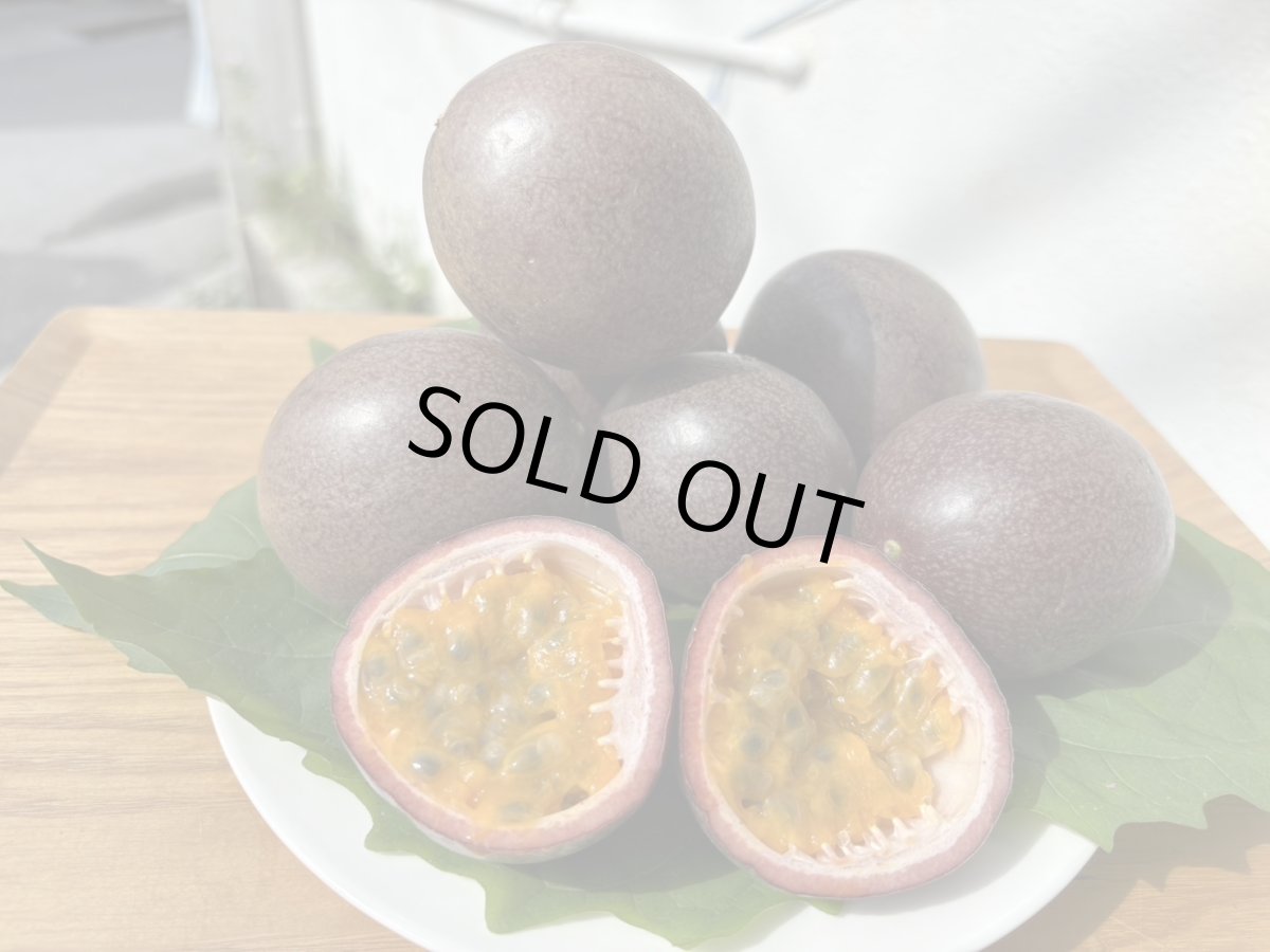 画像1: ＜SALE＞今しかできない！期間限定　高級パッションフルーツ食べ比べ　厳選４品種　各２玉づつ　計８玉 (1)