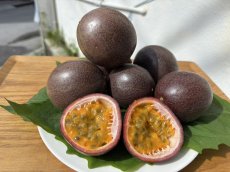 画像1: 今しかできない！期間限定　高級パッションフルーツ食べ比べ　厳選４品種　各２玉づつ　計８玉 (1)