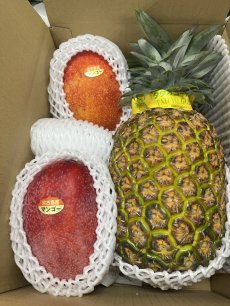 画像2: 新商品☆アップルマンゴーとゴールドバレルの贈答用セット【送料無料】　7月下旬頃〜発送予定 (2)