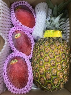 画像1: 新商品☆アップルマンゴーとゴールドバレルの贈答用セット【送料無料】　7月下旬頃〜発送予定 (1)