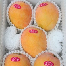 画像1: 《希少》沖縄県産　夏子紅マンゴー　２kg （４〜６玉）「日付指定不可」「数量限定」 (1)