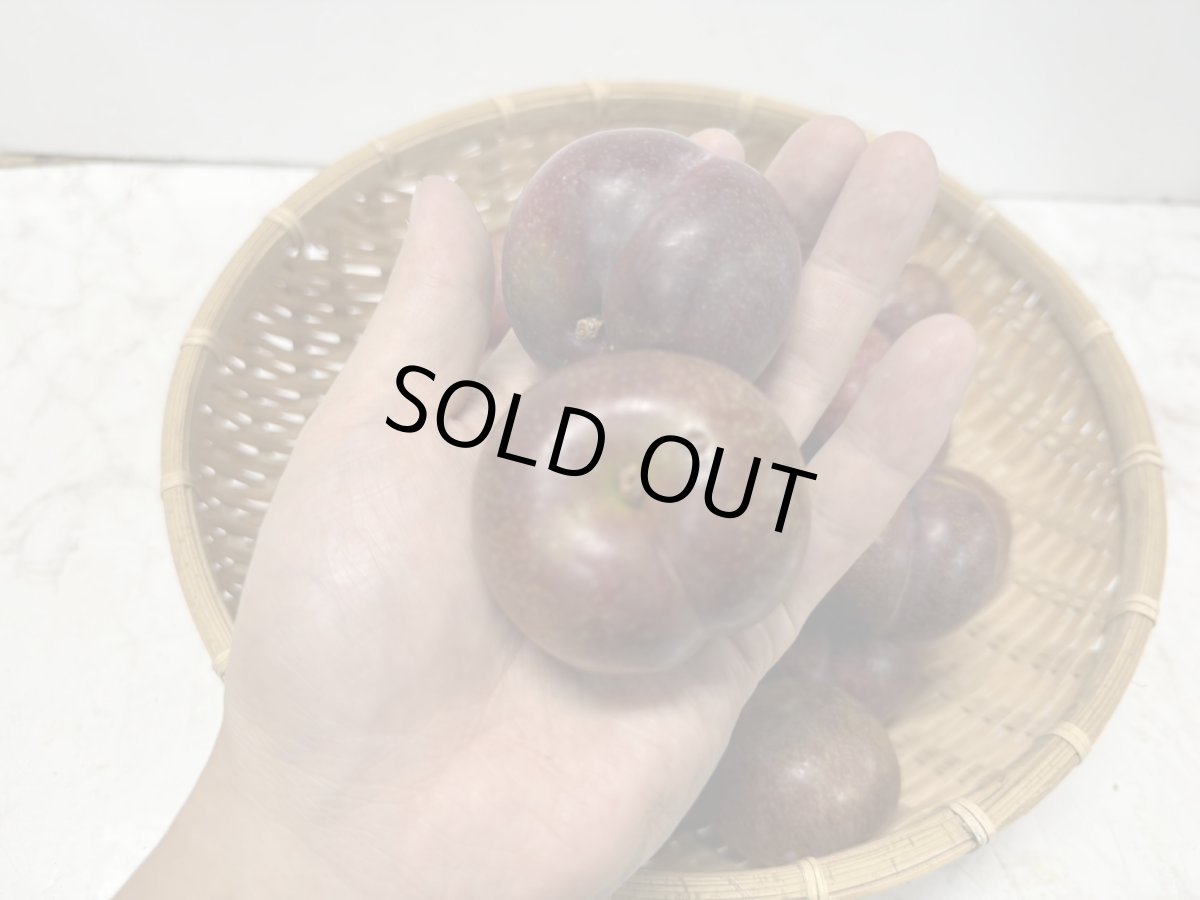 画像2: 【希少商品】沖縄県産　国頭産　大玉スモモ　１kg 甘酸っぱい初夏の果実  (2)