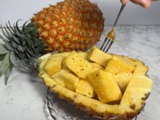 画像1: 沖縄産ゴールドバレル １玉（約1.5kg〜1.9kg）  (1)