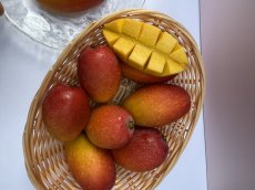 画像2: ☆希少種☆　ミニ レッドキンコーマンゴー（7~14玉）　1kg 　沖縄県産  (2)