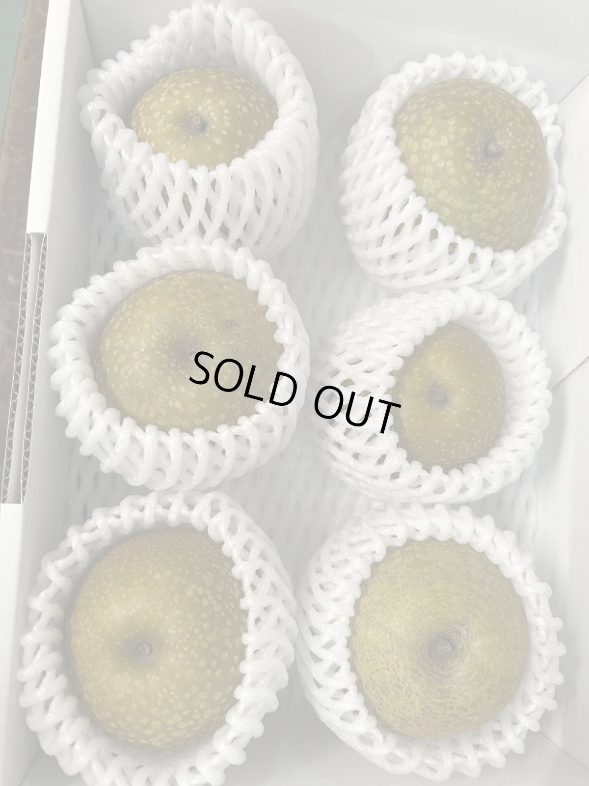 画像2: 沖縄県産　梨　１kg （漬物用）　シャキシャキ食感でほのかな甘さ「数量限定」 (2)