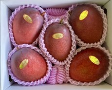 画像2: 長嶺さんの林檎マンゴー　2キロ　秀品　(4〜6玉) (2)