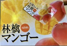 画像1: 長嶺さんの林檎マンゴー　2キロ　秀品　(4〜6玉) (1)