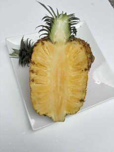 画像2: ★ゴールドバレル★１玉　1.2ｋｇ〜1.5kg　　100玉限定　 (2)