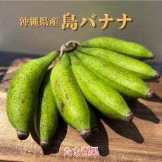 画像1: 【人気ＮＯ.１】沖縄県産　島バナナ　2kg (1)