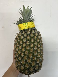 画像1: 沖縄産タダオゴールド　 1玉（約２ｋｇ以上） 数量限定　究極のパイナップル (1)