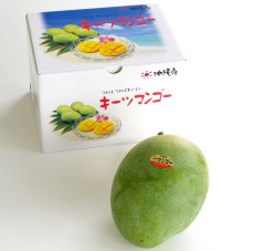 画像1: JA選果　1玉（800g）×２箱　沖縄県産キーツマンゴー　 (1)
