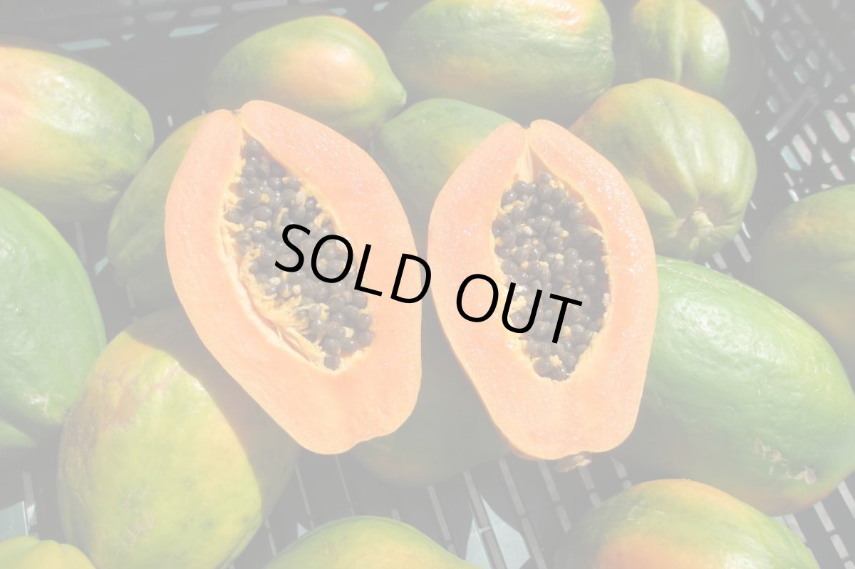 画像3: フルーツパパイヤ 約１.７〜２ｋｇ(2〜６玉入)　☆お任せ品種☆ (3)