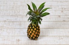 画像3: ★☆タイムセール☆★ピーチパイン　3kg（6〜9玉）甘くて美味しいピーチの香り　数量限定 (3)