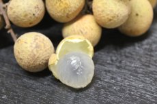 画像2: ☆新入荷☆　生竜眼（りゅうがん）480g〜500g　甘くてジューシー (2)