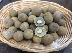 画像1: ☆新入荷☆　生竜眼（りゅうがん）480g〜500g　甘くてジューシー (1)