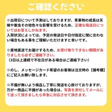 画像8: ☆先行予約☆沖縄県産タンカン　家庭用3ｋｇ詰め　サイズ指定なし　サイズバラ付有　傷あり (8)