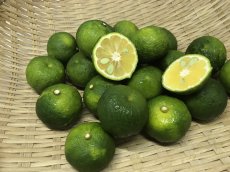 画像1: 【送料無料/希少商品】沖縄県産 オートー 約10kg 昔ながらの沖縄みかん【発送11月下旬〜12月上旬】 (1)