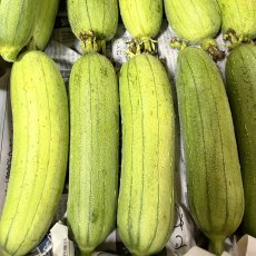 画像3: ☆新商品☆ゴーヤー 3本 / ヘチマ 3本 の人気セット 島野菜/沖縄県産/お得商品 (3)