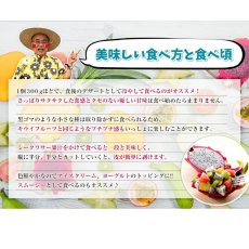 画像6: 【最終入荷!】ドラゴンフルーツ (赤) 約1kg(2〜4玉)※シークァーサー付き 爽やかな甘さの南国フルーツ (6)