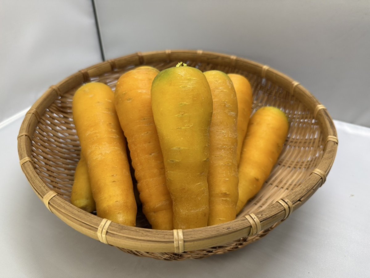 画像1: 沖縄産　香りまろやかな　黄色い　金美人参（１ｋｇ） (1)